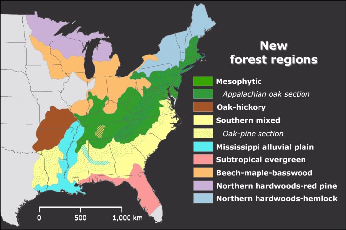 Biome biomes