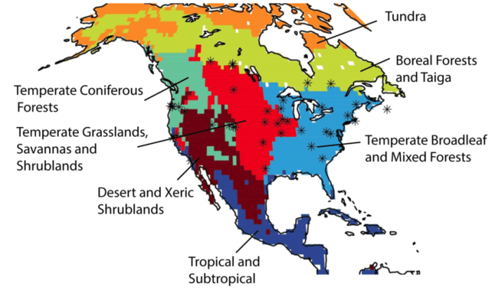 Map biomes biome america north climate england california regions forest wwf coniferous geo ref south coloring secretmuseum choose board flickr