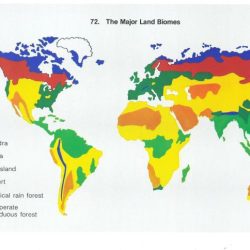 Biomes earth locations biome quotes midwest quotesgram ecology exploringnature