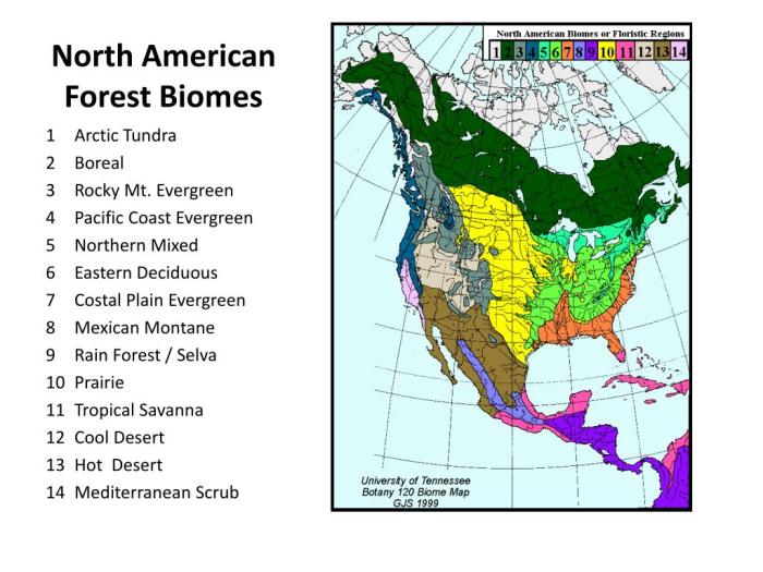 Biomes map floristic regions tree identification